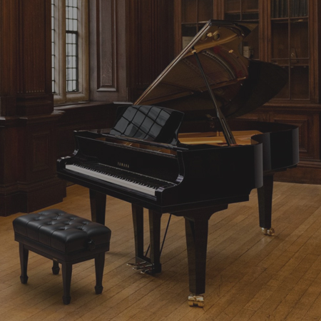 Pianos de Cauda