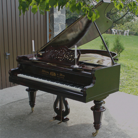 Pianos de Cauda